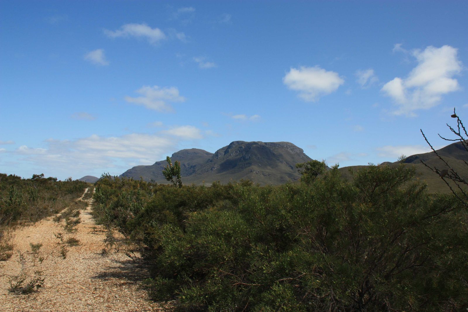 The Coyanorup side of Bluff Knoll, from the firebreak near K.