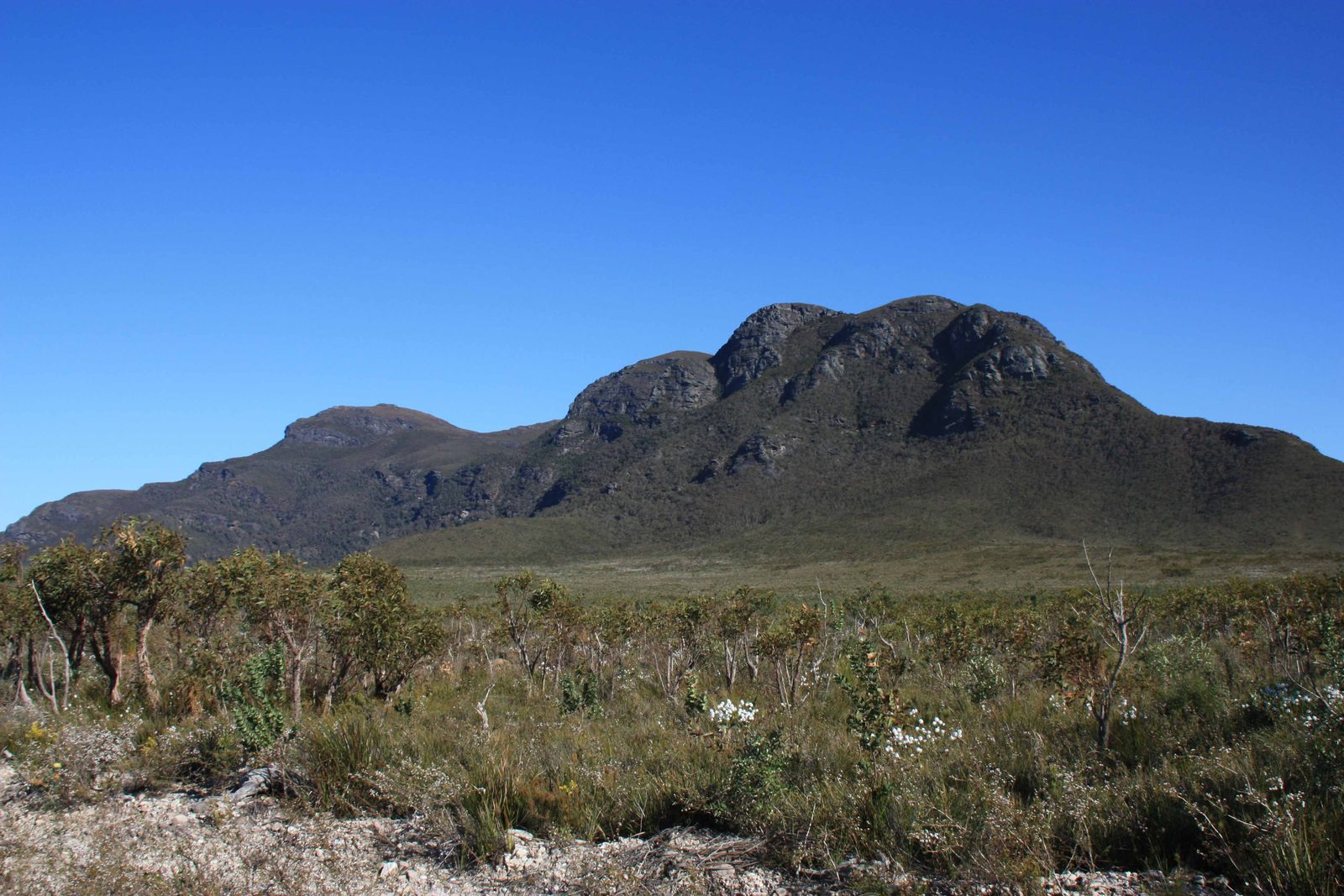 The south side of Bluff Knoll, from near P.