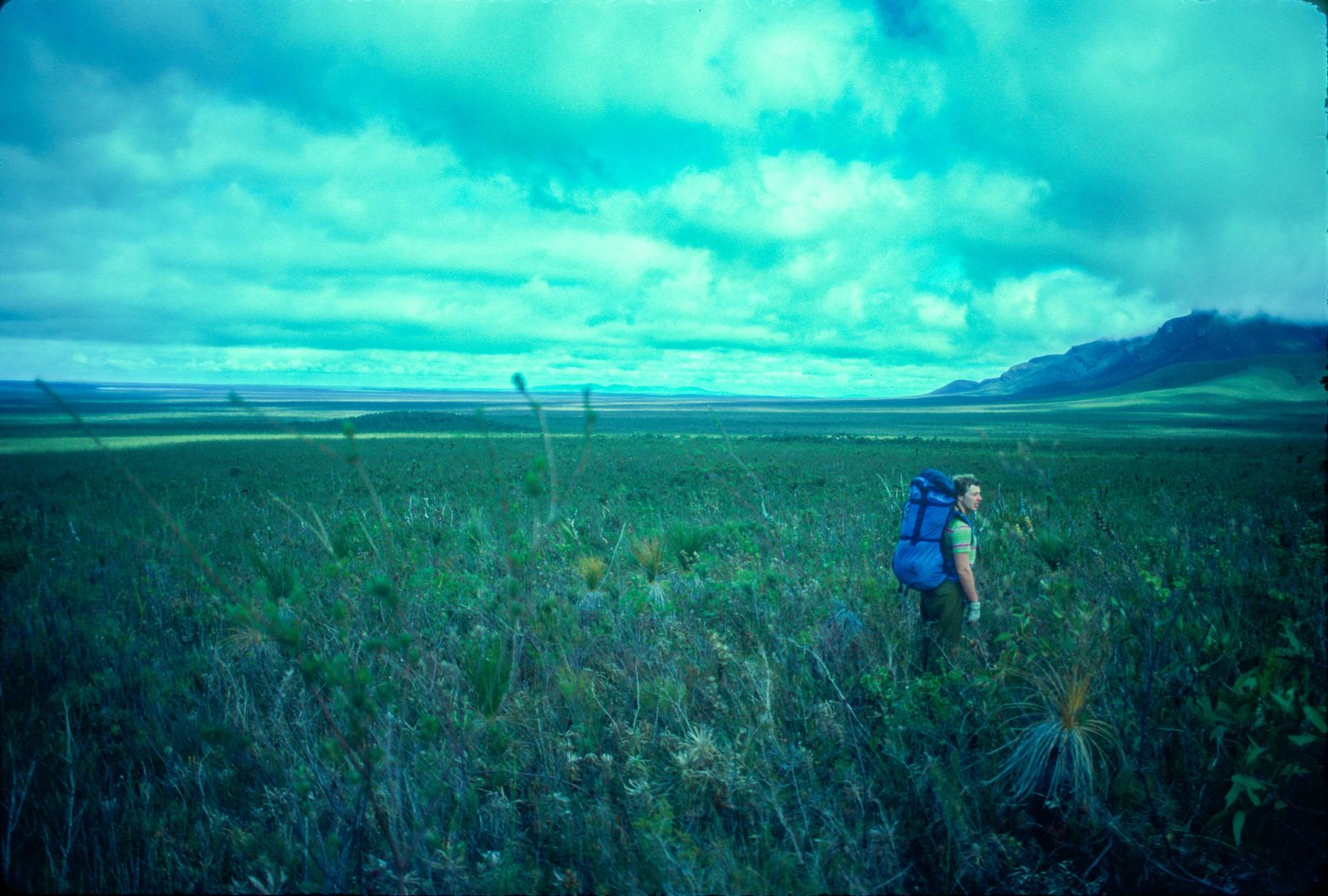 The south side of Ellen Peak, looking out to the plain between G and H.