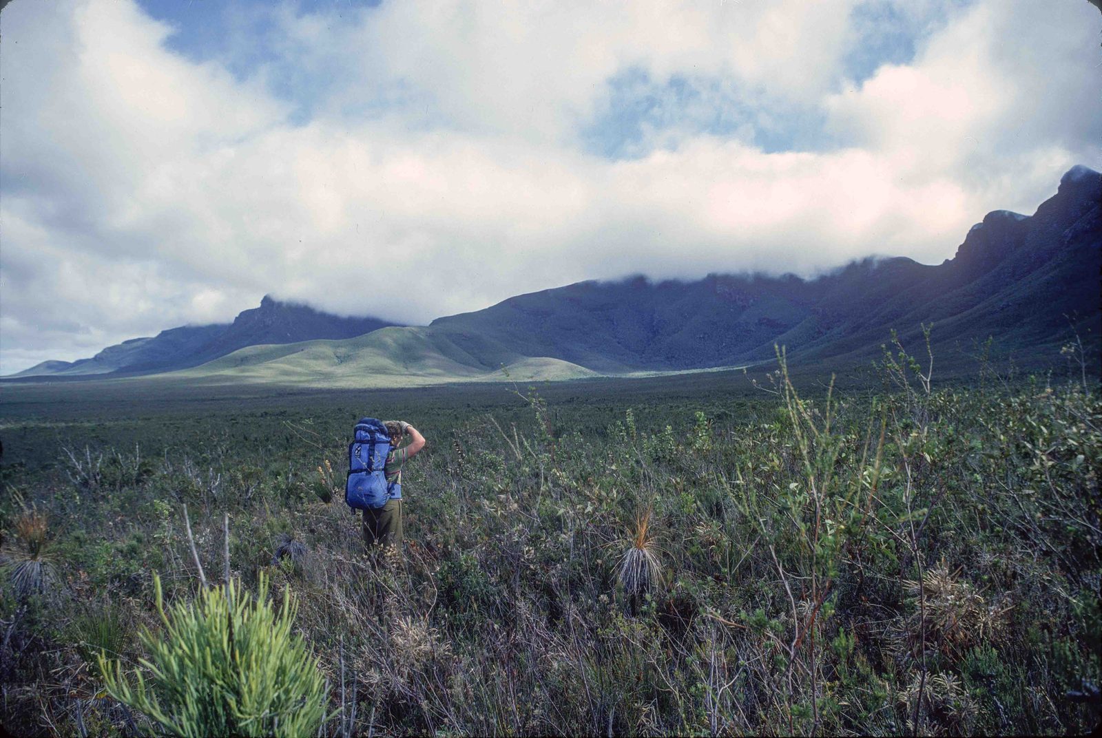 The south side of Ellen Peak, near G.