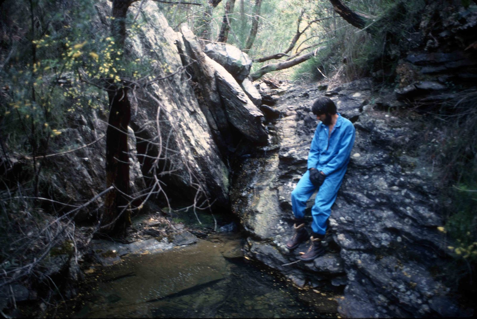 The headwaters of Moongoon Creek, on the southern plain.