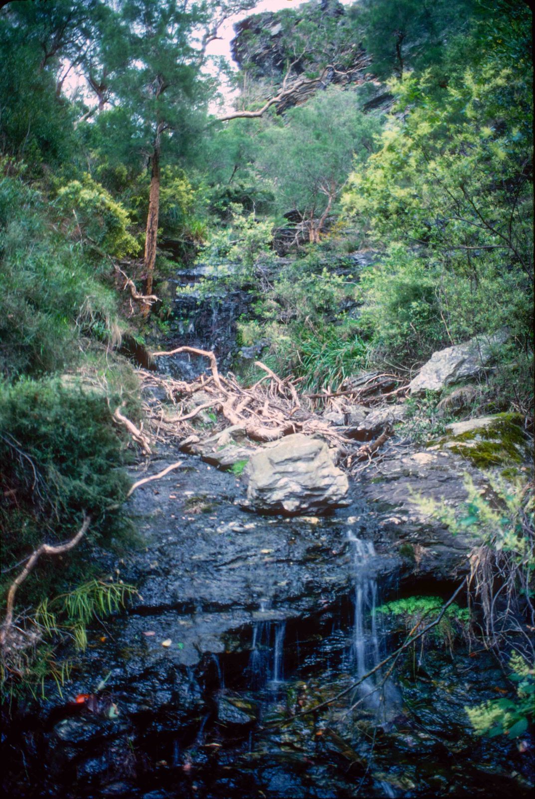 A small waterfall in the headwaters of Moongoon Creek.