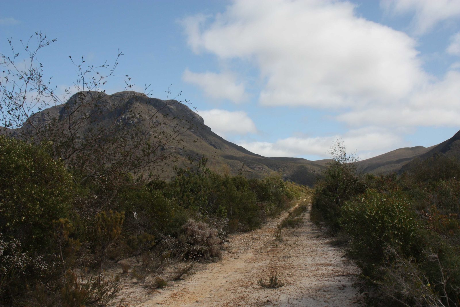 Looking across to Mt Success, between Q and R.
